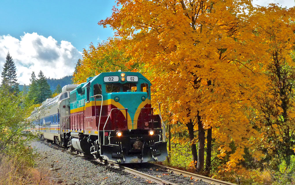 Mount Rainier Scenic Railroad runs through the mountain's forested foothills.