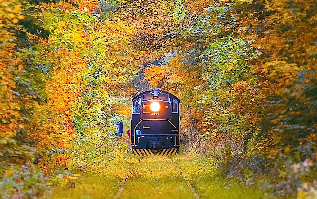 Fall foliage trains welcome leaf peepers across the Mid-Atlantic US