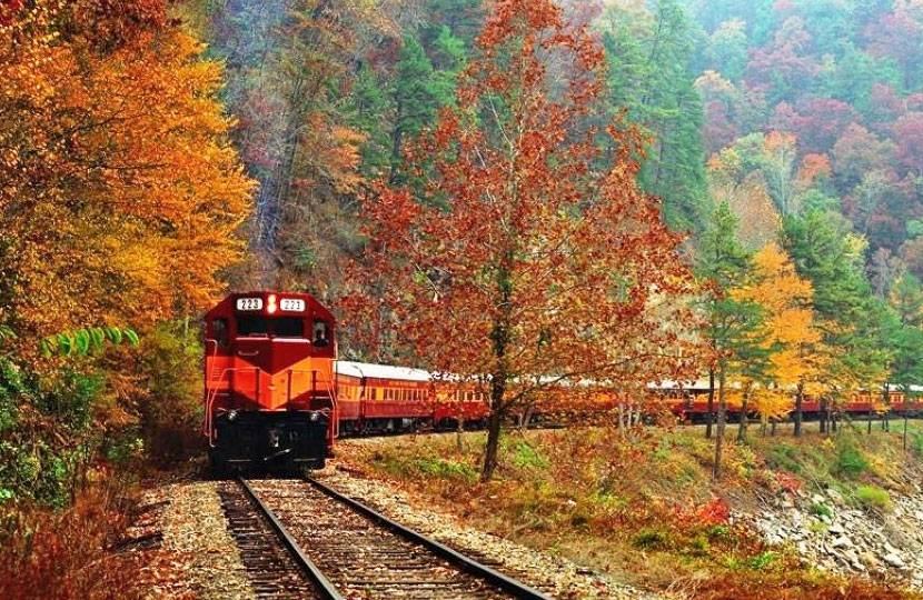 Catch the US South's autumn hues aboard a fall foliage train.